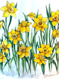 **EVENTS: NANTUCKET DAFFY POP-UP
